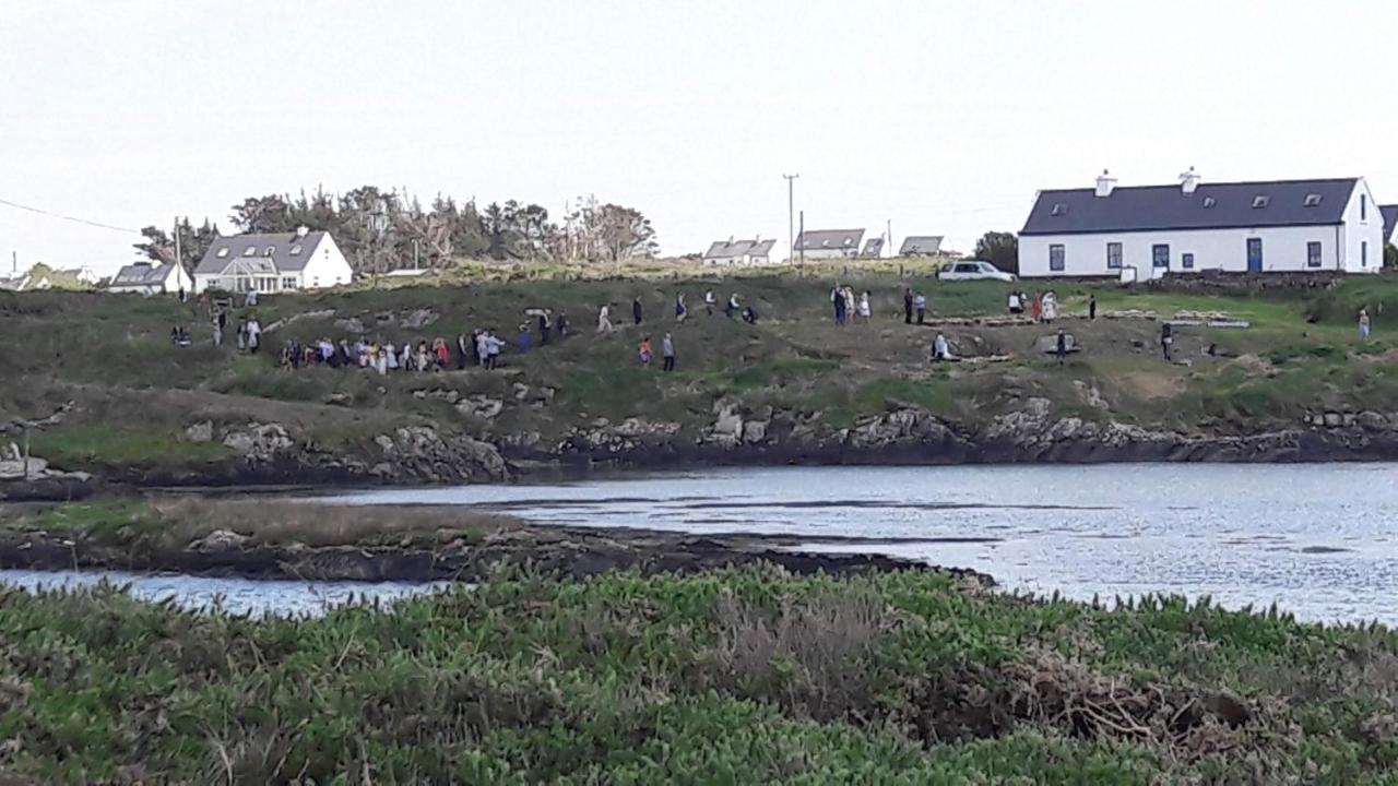 Heir Island House Bed and Breakfast Skibbereen Exteriör bild